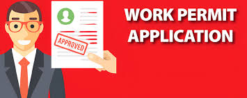 Applying for a Work Permit in Kenya: Requirements and Online Steps
