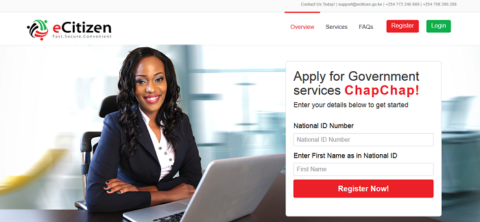 An Overview of Government Services in Kenya: Structure and Functions