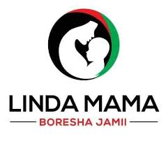 Exploring the Role of Public Awareness Campaigns in Enhancing Government Service Delivery