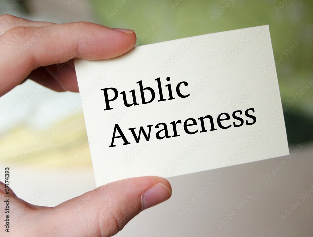 Exploring the Role of Public Awareness Campaigns in Enhancing Government Service Delivery