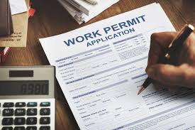 Applying for a Work Permit in Kenya: Requirements and Online Steps